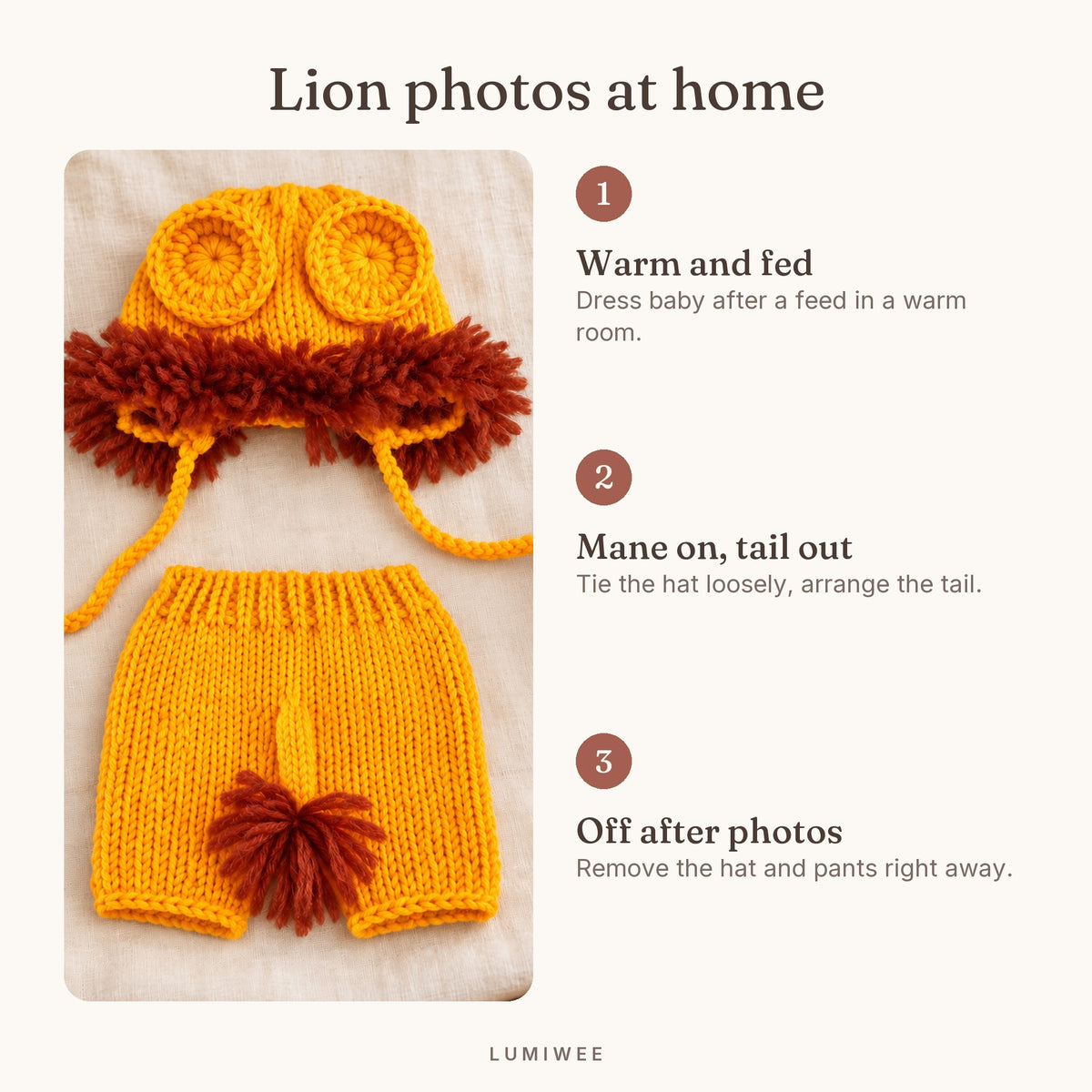 Lumiwee infographic: Lion & Bunny Photo Props - Lion photos at home