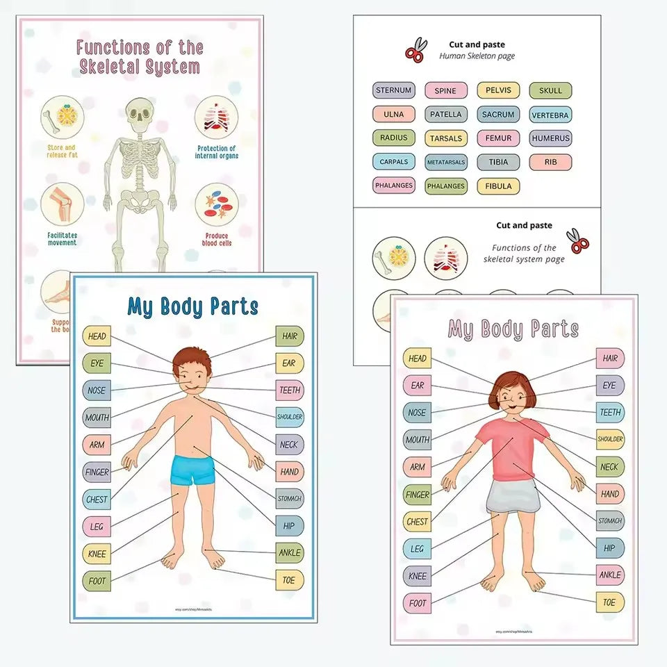 Anatomy busy book My Body Parts pages in boy and girl versions with word labels, plus skeletal system and cut-and-paste pages