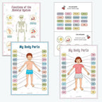 Anatomy busy book My Body Parts pages in boy and girl versions with word labels, plus skeletal system and cut-and-paste pages