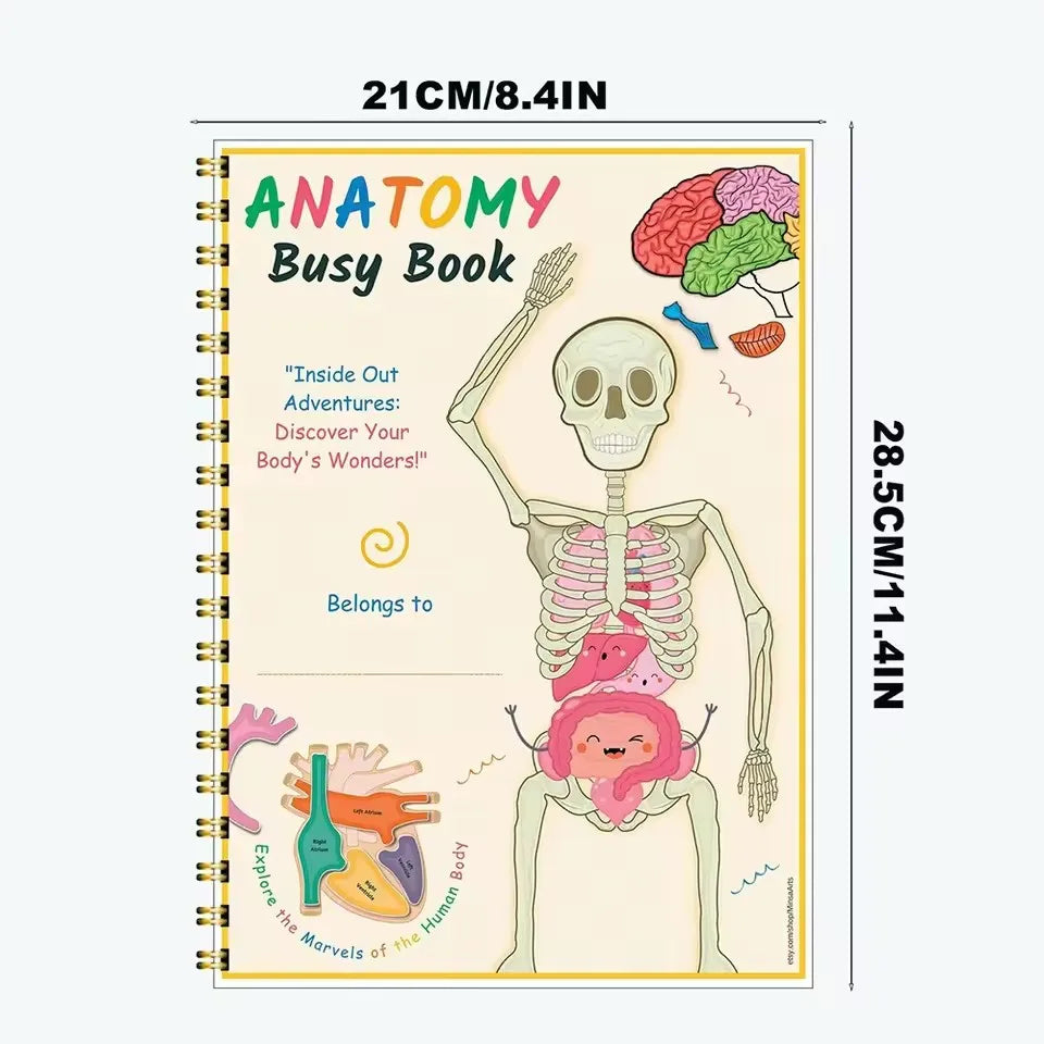Anatomy busy book size chart showing the spiral-bound cover at 21 cm (8.4 in) wide and 28.5 cm (11.4 in) tall
