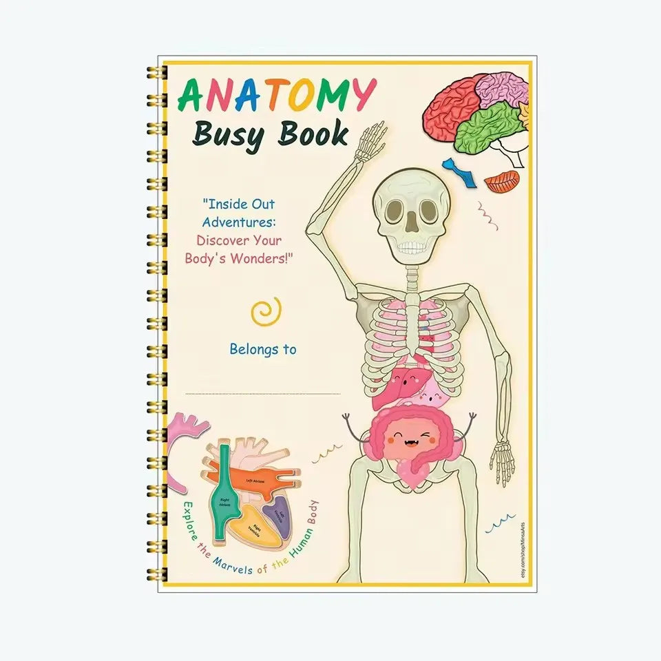 Anatomy busy book front cover with Belongs to line, cartoon skeleton, brain and heart on a plain background