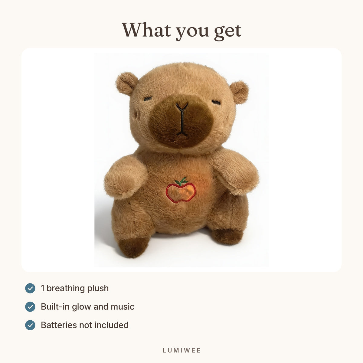 Lumiwee infographic: Capy - What you get
