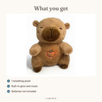 Lumiwee infographic: Capy - What you get