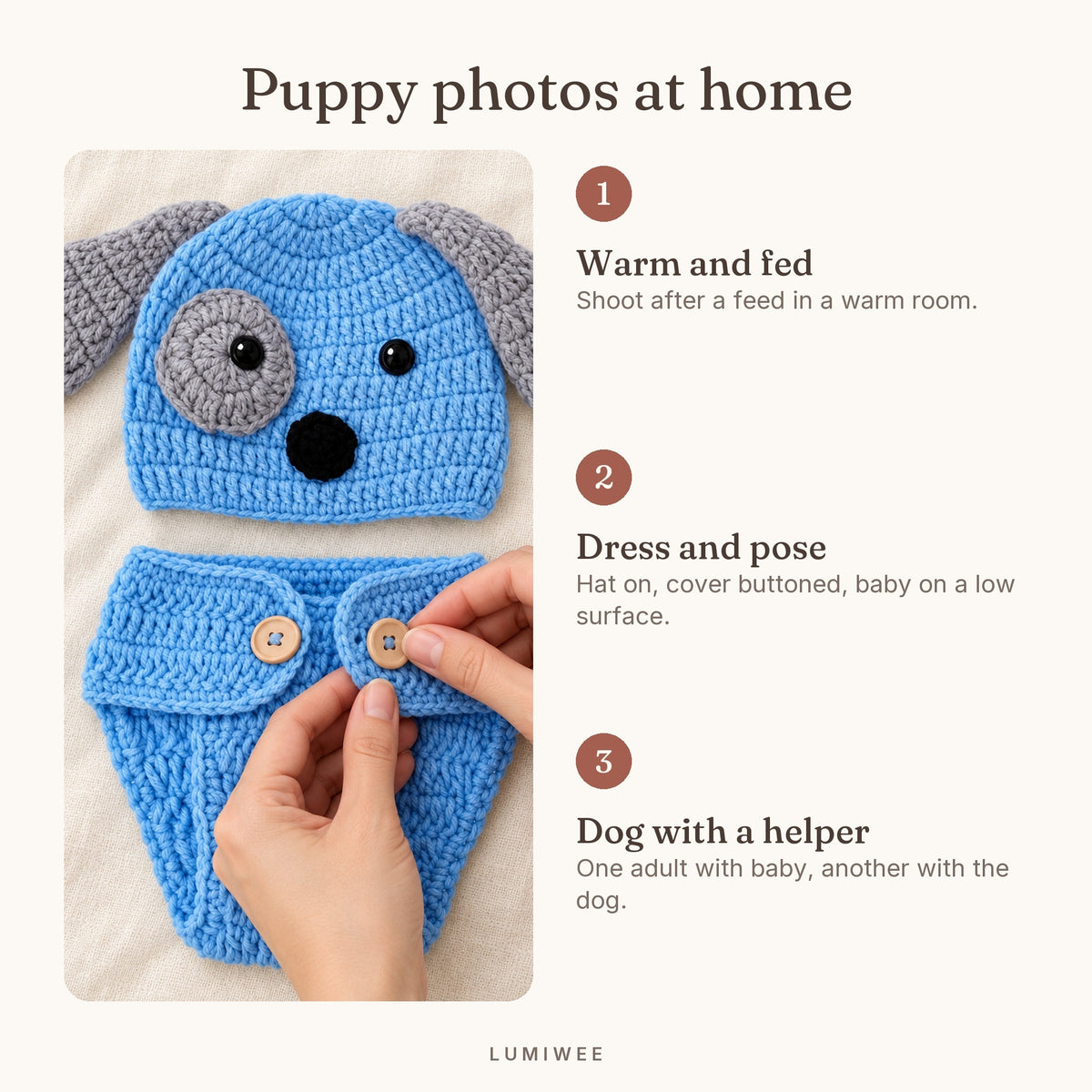 Lumiwee infographic: Puppy - Puppy photos at home