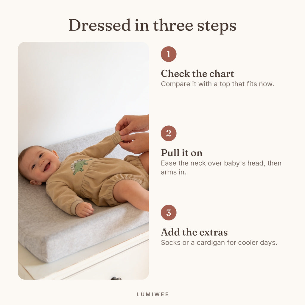 Lumiwee infographic: Rex - Dressed in three steps