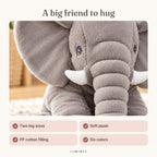 Lumiwee infographic: Stomp - A big friend to hug
